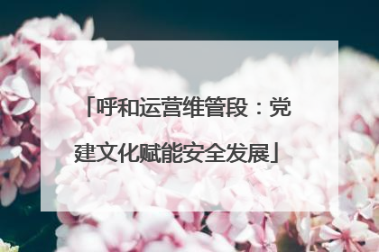 呼和运营维管段：党建文化赋能安全发展
