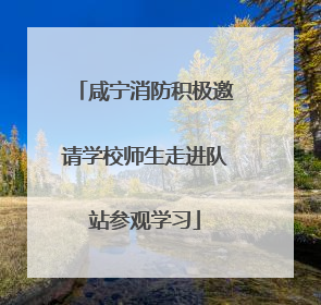 咸宁消防积极邀请学校师生走进队站参观学习