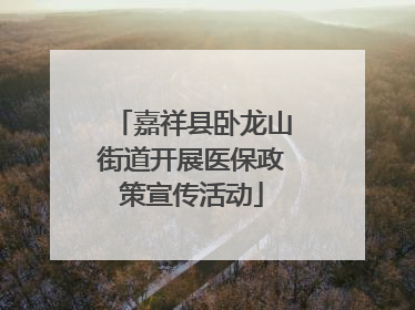 嘉祥县卧龙山街道开展医保政策宣传活动
