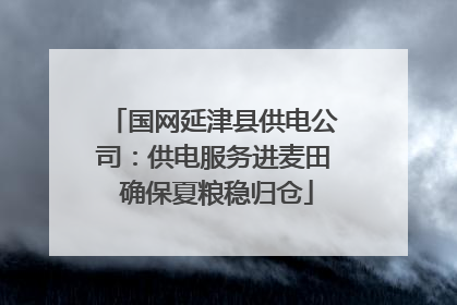 国网延津县供电公司：供电服务进麦田 确保夏粮稳归仓