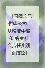 国网金昌供电公司：从积淀中破茧 蝶变社会责任实践新路径