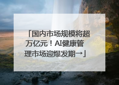 国内市场规模将超万亿元！AI健康管理市场迎爆发期→