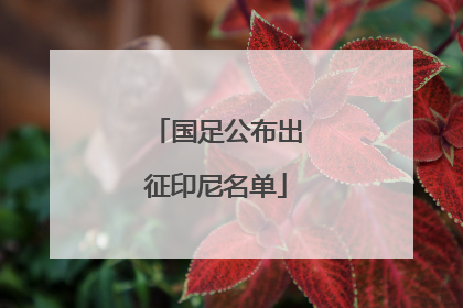 国足公布出征印尼名单
