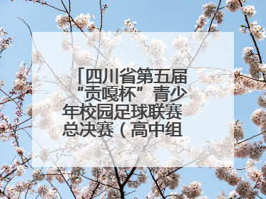 四川省第五届“贡嘎杯”青少年校园足球联赛总决赛（高中组）火热开赛