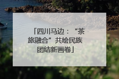 四川马边：“茶旅融合”共绘民族团结新画卷