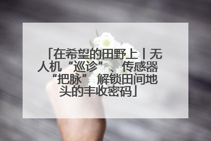 在希望的田野上丨无人机“巡诊”、传感器“把脉” 解锁田间地头的丰收密码