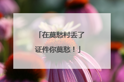 在莫愁村丢了证件你莫愁！