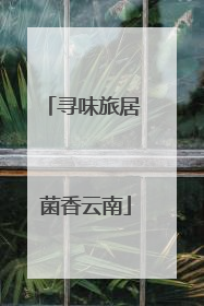 寻味旅居 菌香云南