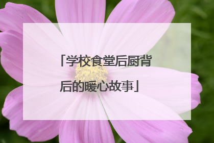 学校食堂后厨背后的暖心故事