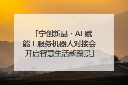 宁创新品・AI 赋能！服务机器人对接会开启智慧生活新图景