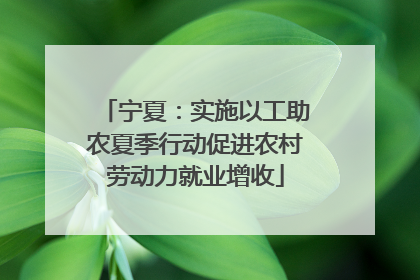 宁夏：实施以工助农夏季行动促进农村劳动力就业增收