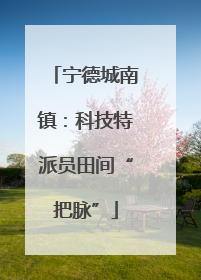 宁德城南镇：科技特派员田间“把脉”