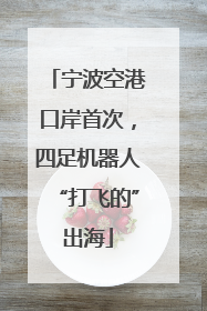 宁波空港口岸首次，四足机器人“打飞的”出海