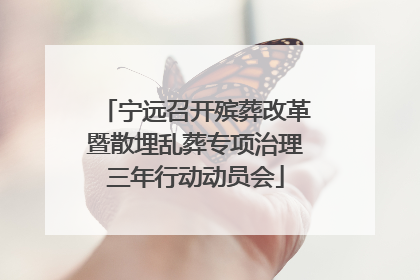 宁远召开殡葬改革暨散埋乱葬专项治理三年行动动员会