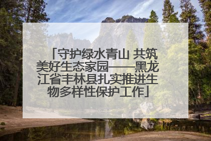 守护绿水青山 共筑美好生态家园——黑龙江省丰林县扎实推进生物多样性保护工作