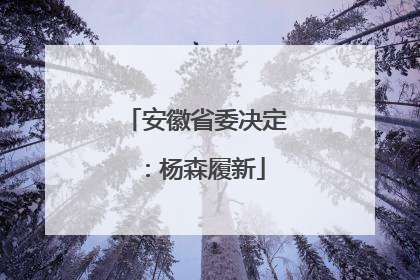安徽省委决定：杨森履新