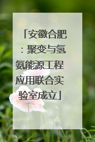 安徽合肥：聚变与氢氨能源工程应用联合实验室成立