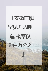 安徽首现罕见并蒂睡莲 概率仅为百万分之一