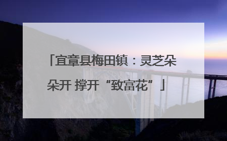 宜章县梅田镇：灵芝朵朵开 撑开“致富花”