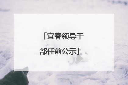 宜春领导干部任前公示