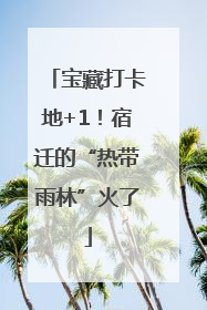 宝藏打卡地+1！宿迁的“热带雨林”火了