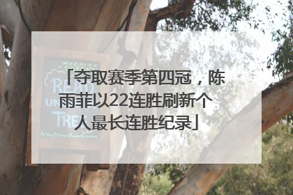 夺取赛季第四冠，陈雨菲以22连胜刷新个人最长连胜纪录