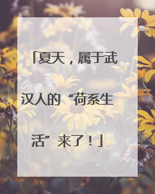 夏天，属于武汉人的“荷系生活”来了！