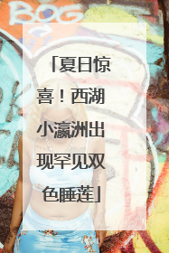 夏日惊喜！西湖小瀛洲出现罕见双色睡莲