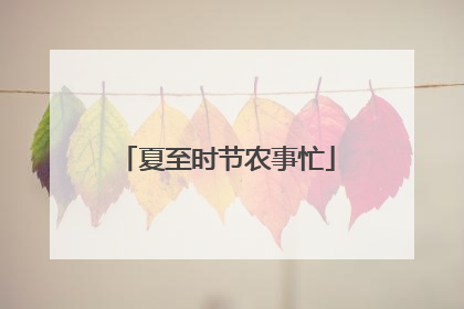 夏至时节农事忙