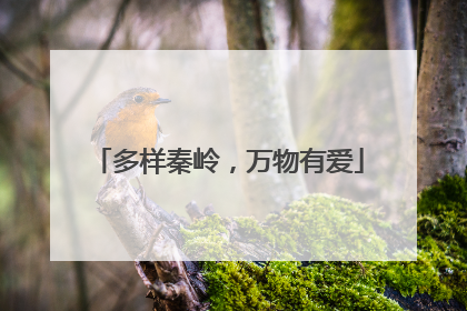 多样秦岭，万物有爱