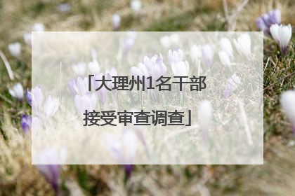 大理州1名干部接受审查调查