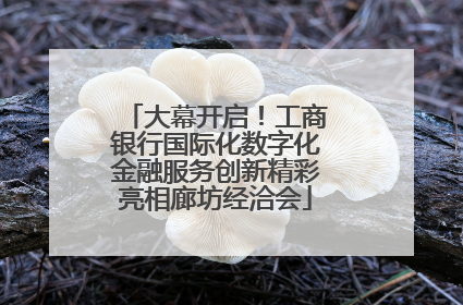 大幕开启！工商银行国际化数字化金融服务创新精彩亮相廊坊经洽会