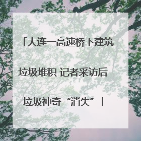 大连一高速桥下建筑垃圾堆积 记者采访后垃圾神奇“消失”