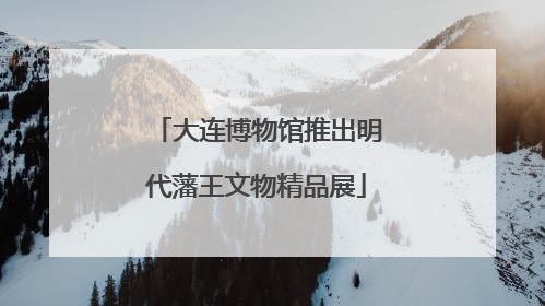 大连博物馆推出明代藩王文物精品展