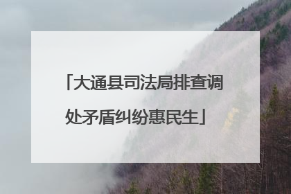 大通县司法局排查调处矛盾纠纷惠民生
