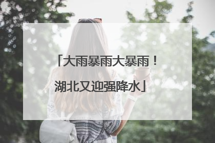 大雨暴雨大暴雨！湖北又迎强降水