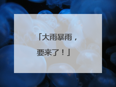 大雨暴雨，要来了！