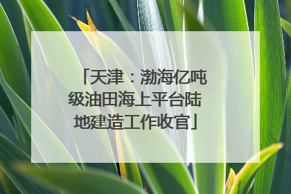 天津：渤海亿吨级油田海上平台陆地建造工作收官