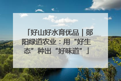 好山好水育优品｜郧阳绿道农业：用“好生态”种出“好味道”