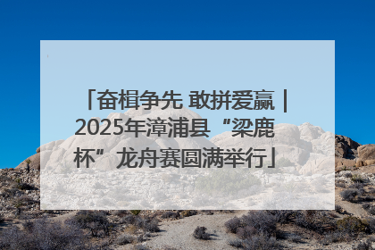 奋楫争先 敢拼爱赢｜2025年漳浦县“梁鹿杯”龙舟赛圆满举行