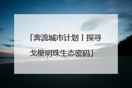 奔流城市计划丨探寻戈壁明珠生态密码