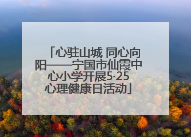心驻山城 同心向阳——宁国市仙霞中心小学开展5·25心理健康日活动