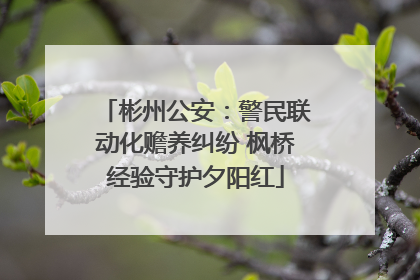 彬州公安：警民联动化赡养纠纷 枫桥经验守护夕阳红