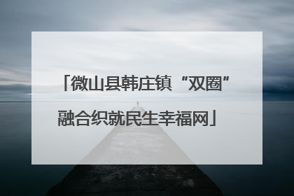 微山县韩庄镇“双圈”融合织就民生幸福网