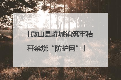微山县驩城镇筑牢秸秆禁烧“防护网”