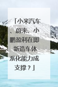 小米汽车、蔚来、小鹏盈利在即 新造车体系化能力成支撑？