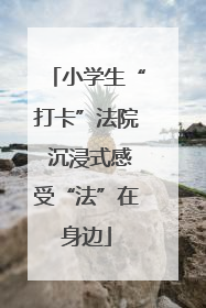 小学生“打卡”法院 沉浸式感受“法”在身边