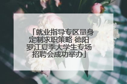 就业指导专区量身定制求职策略 德阳罗江夏季大学生专场招聘会成功举办