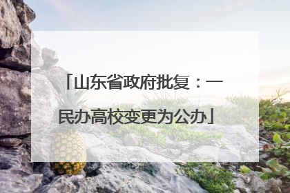 山东省政府批复：一民办高校变更为公办