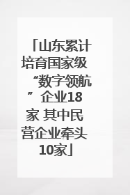 山东累计培育国家级“数字领航”企业18家 其中民营企业牵头10家